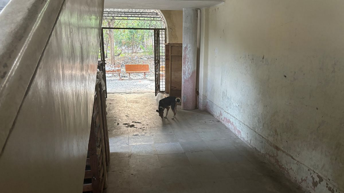A dog wandering around the heritage part of the hospital | Vandana Menon, ThePrint