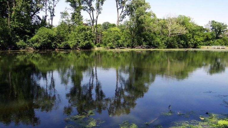 Life-sustaining freshwater first appeared on Earth 4 billion years ago, finds Nature study