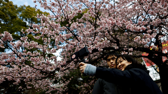 Visitors take selfie photos under an early-flowering Ookanzakura cherry blossoms in full bloom at Ueno Park in Tokyo, Japan March 8, 2024 | Reuters/Issei Kato/File Photo