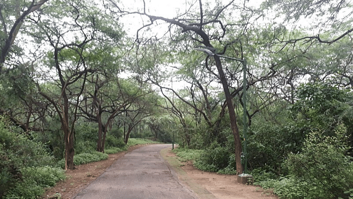 Representational image of Malcha forests in Delhi | Credit: Commons