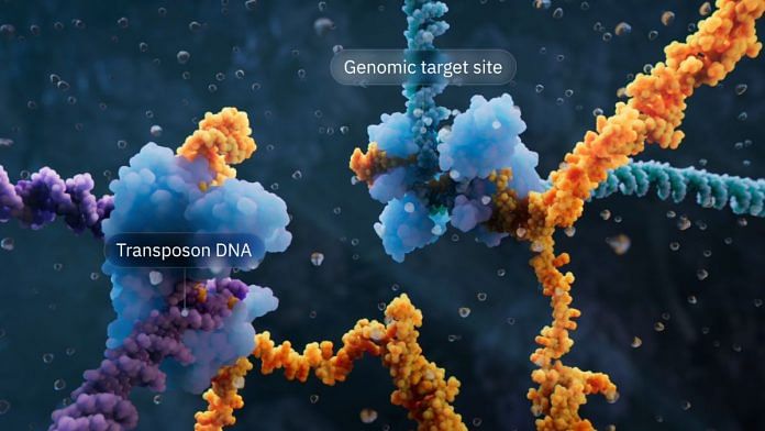 Bridge RNA | Visual Science