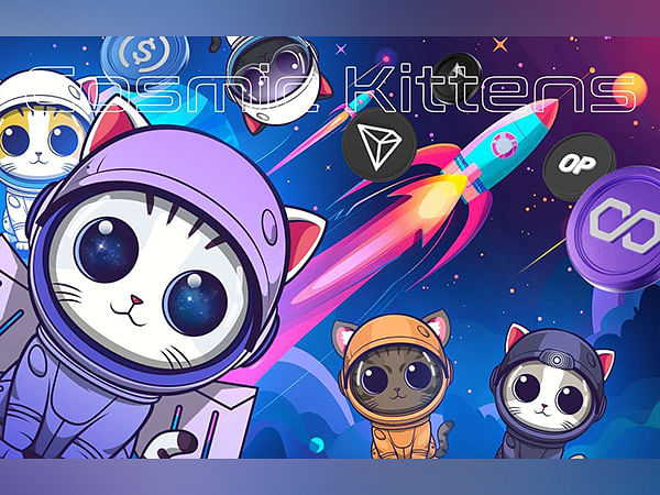 Cosmic Kittens (CKIT), Sui (SUI) and Flare (FLR): The 3 Most Promising Web3 Projects You've Never Heard Of