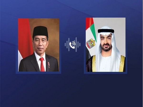 UAE and Indonesian Presidents discuss bilateral relations in phone call