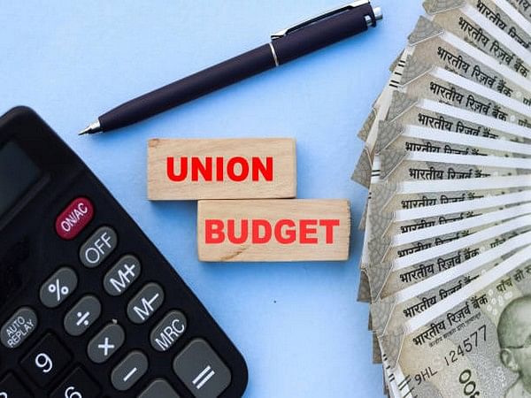 Union Budget should be looked with long-term perspectives, beyond numbers: Goldman Sachs