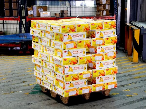 Bengaluru Airport ships record 822 tonnes of mangoes to 60 international destinations Bengaluru Airport ships record 822 tonnes of mangoes to 60 international destinations