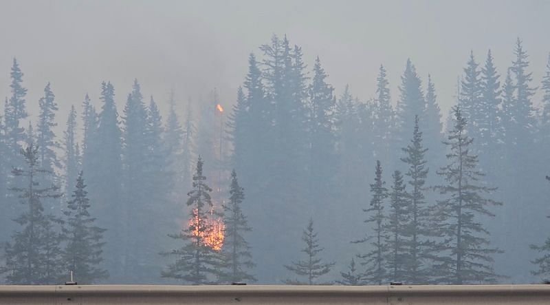 Canada wildfire reaches Jasper, firefighters work to protect Trans ...