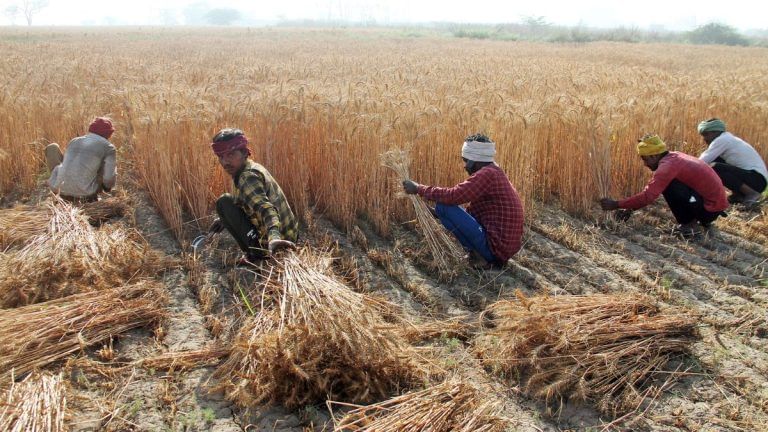Marginal farmers find it difficult to access govt schemes as their number grows, income shrinks