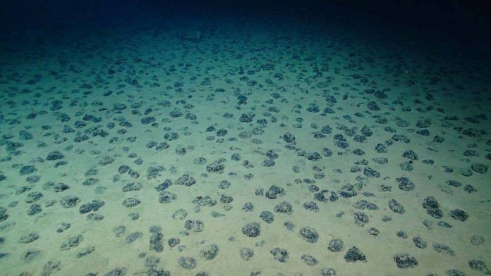 Deep sea nodules on the seafloor in the Clarion-Clipperton Zone of the Pacific Ocean | Photo: smartexccz.org via Natural History Museum