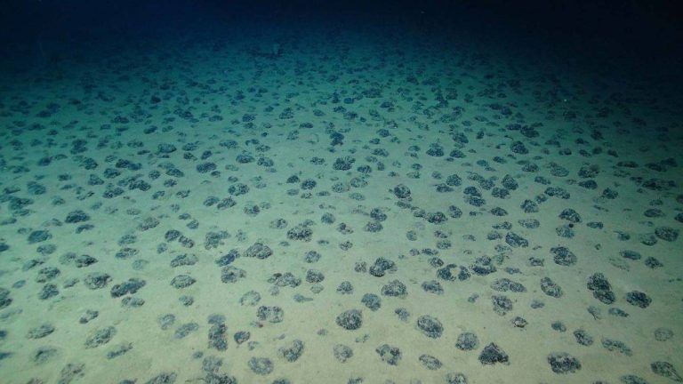 Scientists discover ‘dark oxygen’ produced on deep-ocean floor where the Sun don’t shine