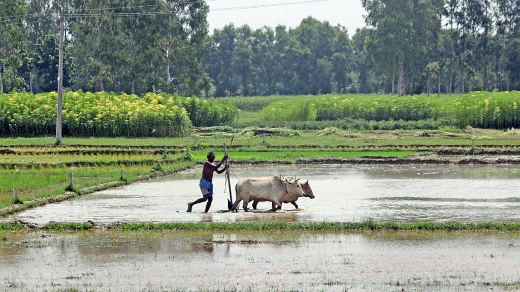 Budget 2024 signals rigour in farm policymaking, govt openness to align ...