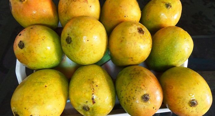 Stop this North-South divide over mangoes. The real match is playing out in Bihar and Bengal