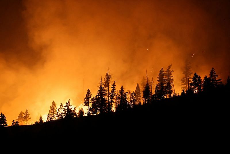 Wildfires in Canada's Alberta, British Columbia prompt evacuation ...