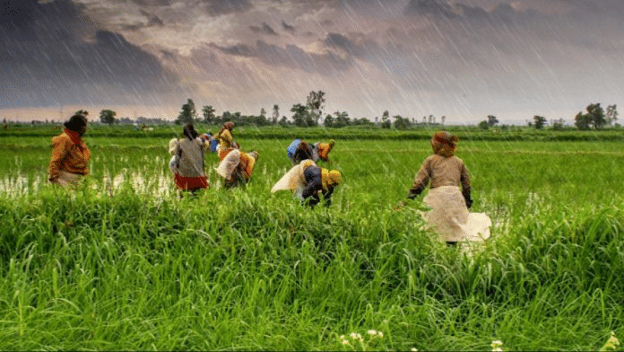 Farmers at work | Representational image | Commons