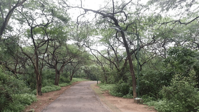 Representational image of forests in Delhi | Credit: Commons