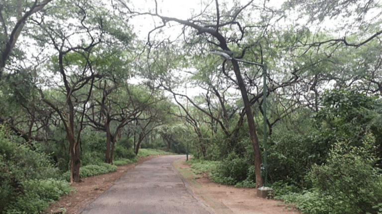 SubscriberWrites: Delhi — Virtual Green or Real Green?