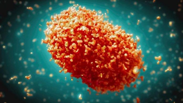 Representational image of the mpox virus