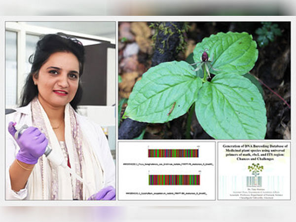 New Genetic Barcode Developed by Chandigarh University Researcher to Curb Smuggling, Illegal Extraction of Rare Nag Chhatri Herb in the Himalayas