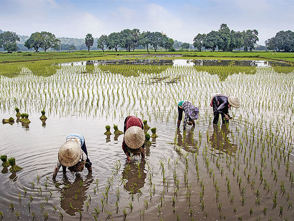 India registers 8,875 farmer producer organisations under Central Sector Scheme