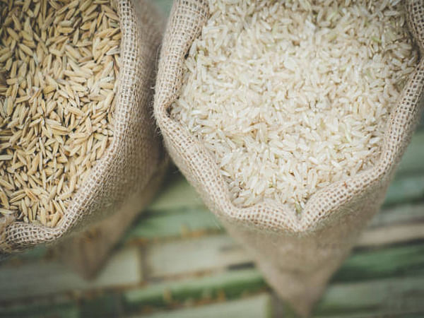 India allows export of 200,000 tonne non-basmati rice to Malaysia