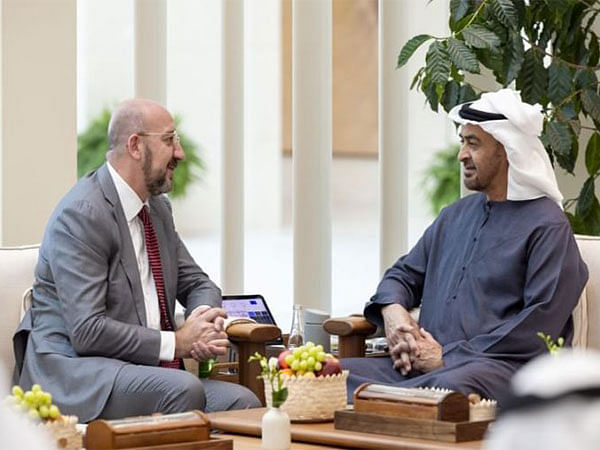 President of UAE, European Council President discuss strengthening relations, regional developments 