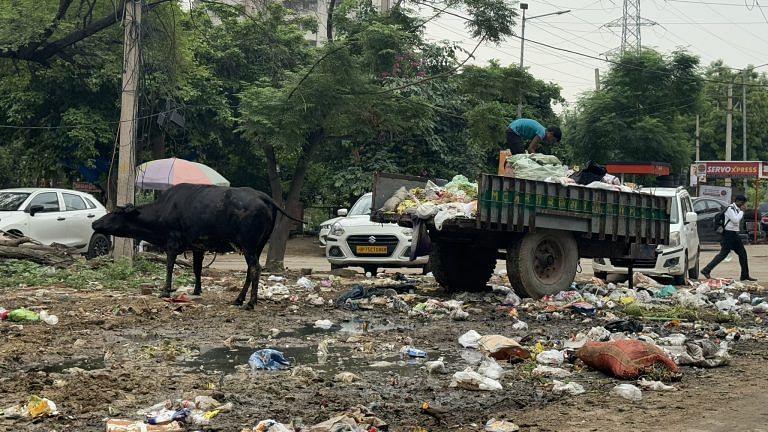 Don’t just blame the govt for dirty streets. Civic sense can’t be legislated