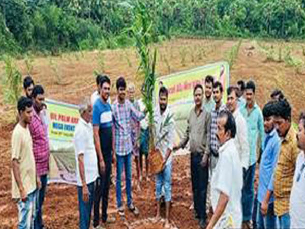 Over 17 lakh oil palm saplings planted in a plantation drive under National Mission for Edible Oils