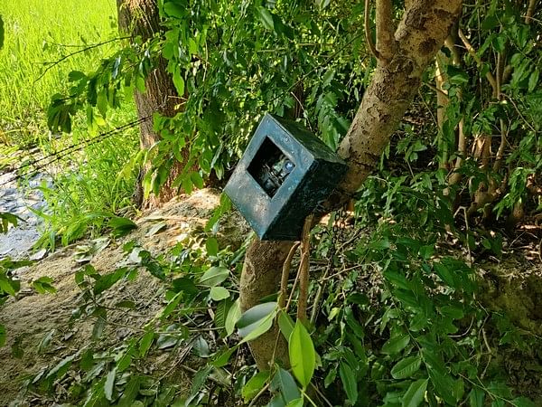 Snap cameras installed at probable habitats of wolves by forest department in Bahraich