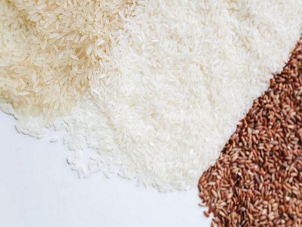 Removal of minimum export price for basmati will make Indian rice competitive