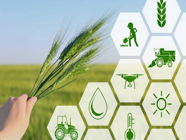 India's horticulture production declined by  0.65 pc, fruits and spices  shows growth in 2023-24 (YoY)