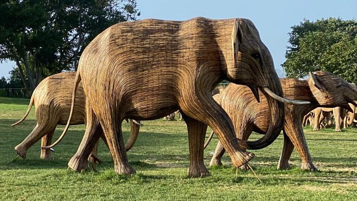 Great Elephant Migration in Newport on 7 September | X @MichaelDHammett