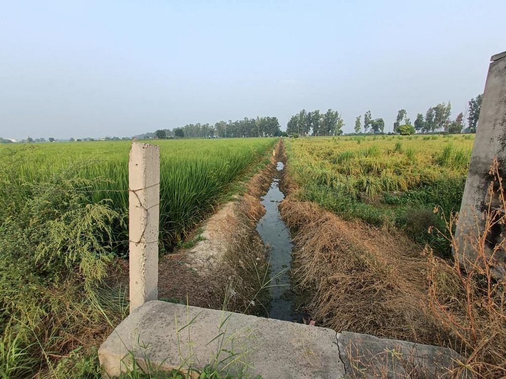 canals in Haryana