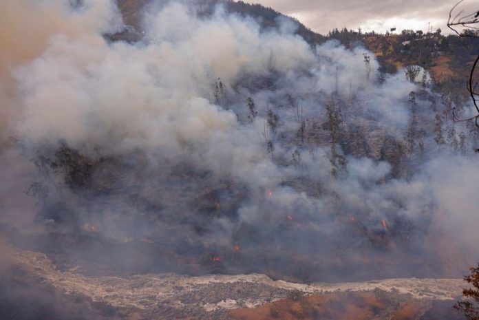 Wildfire_896.jpg