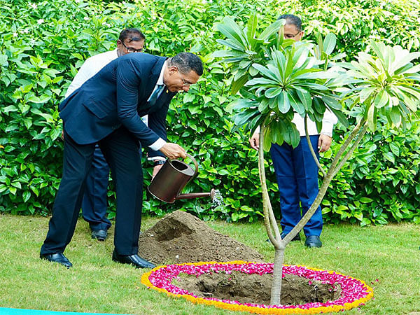 Jamaica PM Andrew Holness plants Champa sapling at Rajghat 