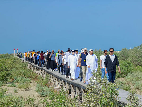 DEWA plants 4,500 mangrove trees at Jebel Ali Marine Sanctuary