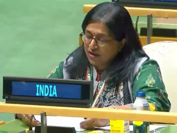 India reiterates support for Africa; calls its exclusion from UNSC a 