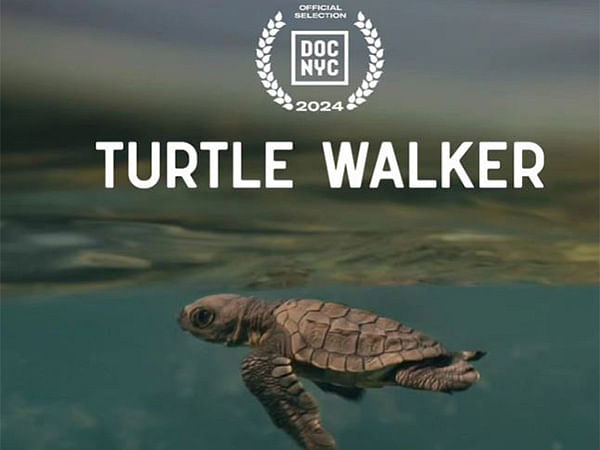 Here's all we know about  Zoya Akhtar, Reema Kagti-backed documentary 'Turtle Walker'