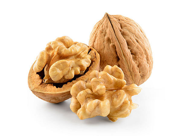 Walnuts from Chile new season in India