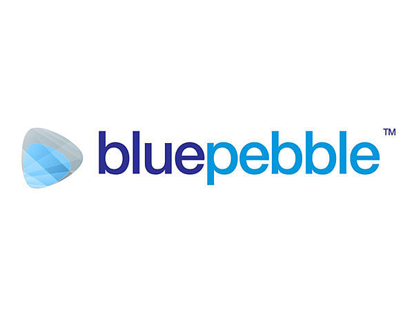 Blue Pebble Limited H1 FY25 Results: PAT Soars by 356.27 per cent