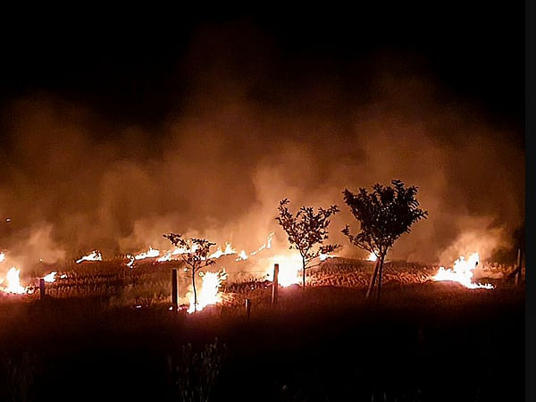 Experts call stubble burning only part of problem; long-tern sustainable plan needed to deal with air pollution in Delhi