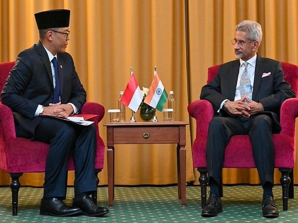 Jaishankar meets Indonesian counterpart in Kazan, discusses strengthening strategic partnership