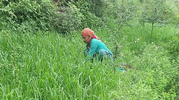 Ministry of Rural Development refutes claims of dip in employment generation under MGNREGS