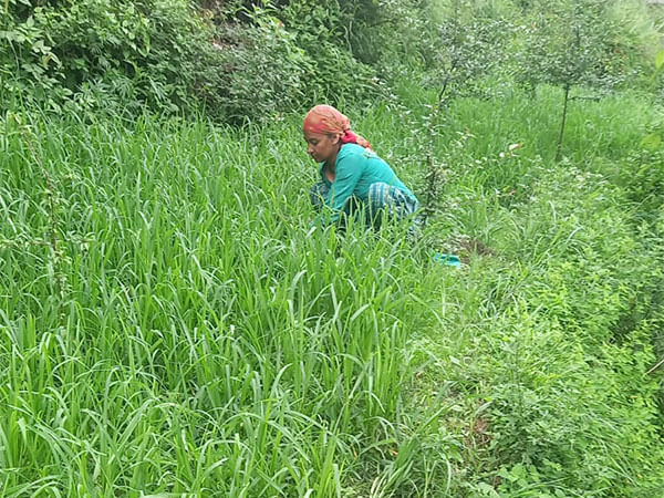 Ministry of Rural Development refutes claims of dip in employment generation under MGNREGS