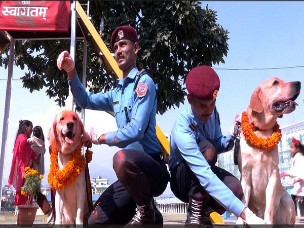 Feast and Treats: Nepal Police service dogs get VIP treatment on  Kukur Tihar festival