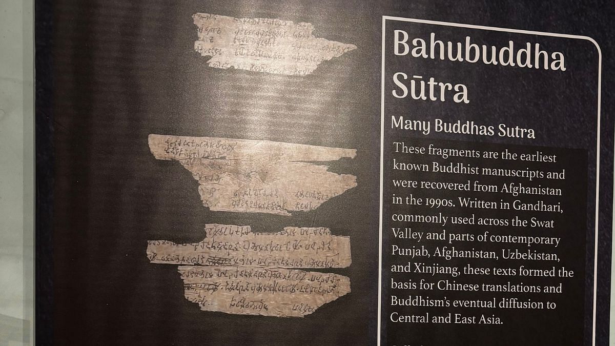 The earliest known Buddhist manuscript, which seems interred like relics of revered monks, narrates the story of Sakyamuni, the 15th Buddha in the series |Photo: Sakshi Mehra | ThePrint 