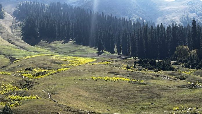 For Kashmir's Gurez, peace on the LoC has resulted in blossoming of the tourism industry and resumption of infrastructure work | Praveen Swami | ThePrint