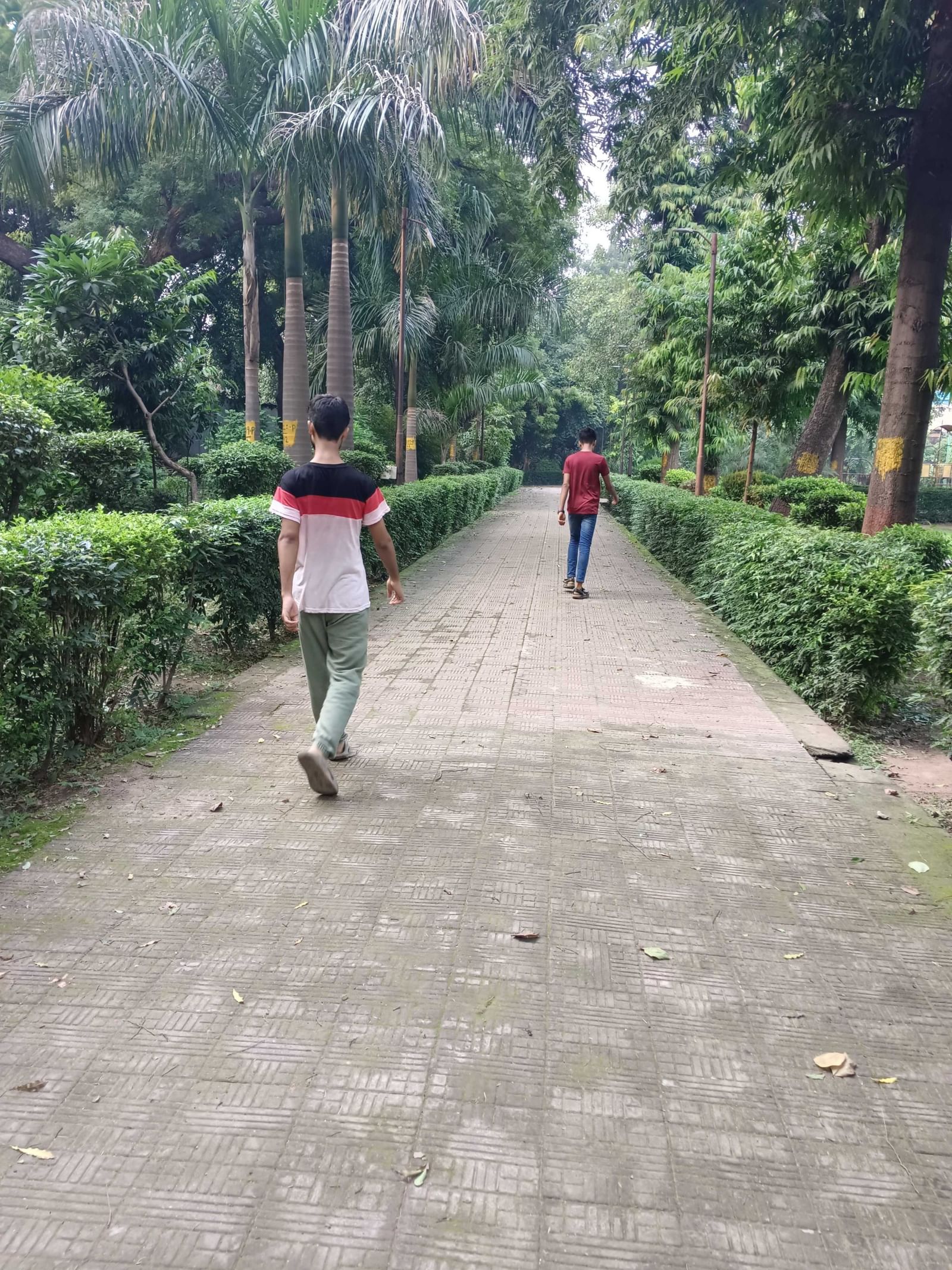 चेतावनी के संकेतों की अनदेखी करते हुए अक्सर पुरुषों को इन महिलाओं के लिए बने पार्क में घुसते देखा जा सकता है | फोटो: अलमिना खातून/दिप्रिंट