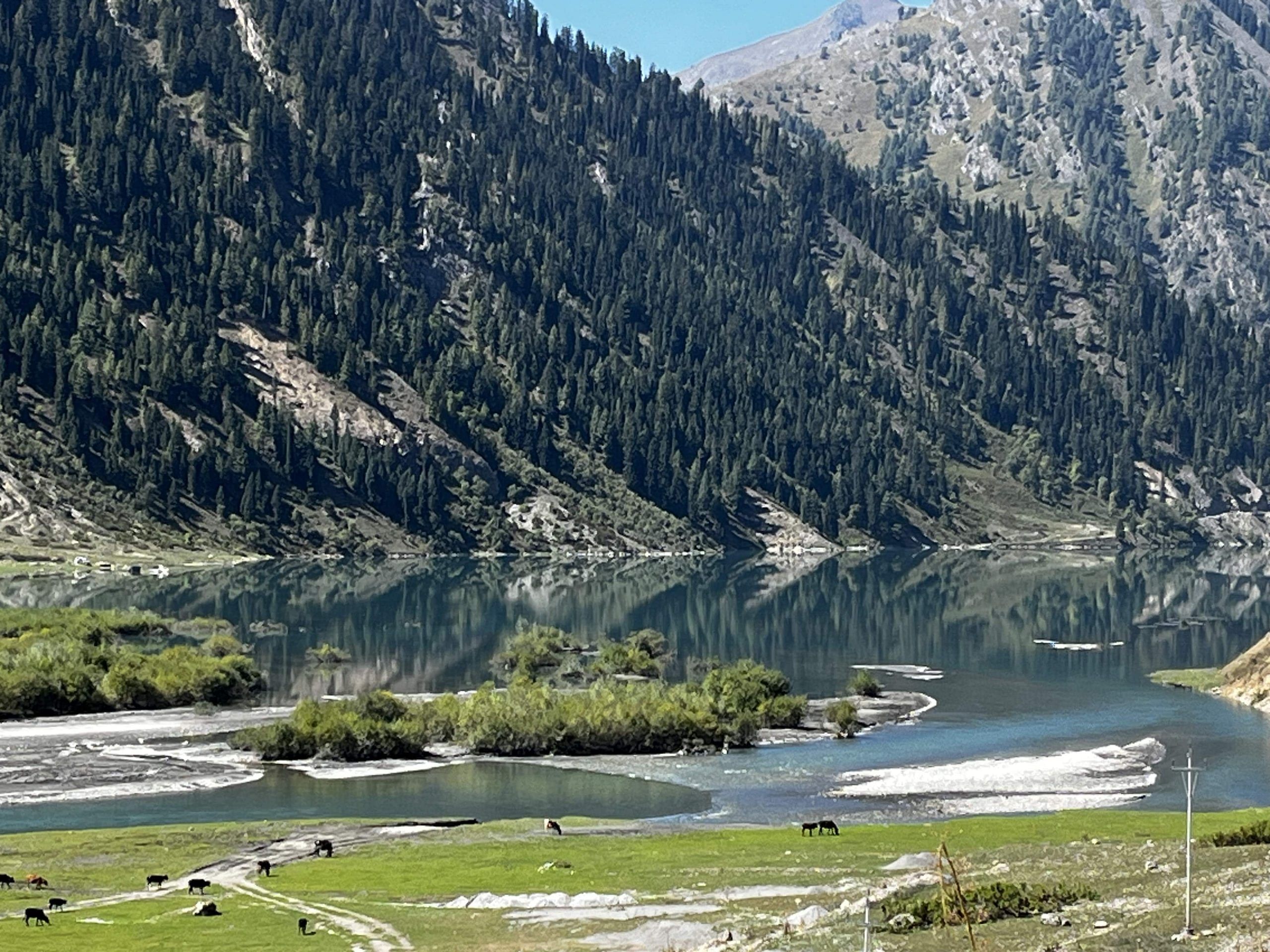 On the banks of the Kishanganga dam reservoir in Wanpora, Gurez. | Praveen Swami | ThePrint