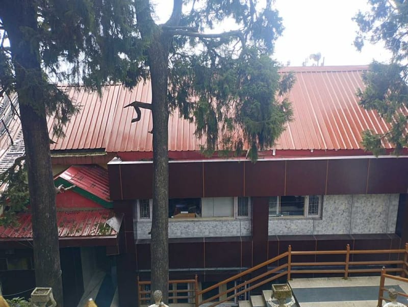 नगर निगम कार्यालय, जहां कमिश्नर भूपेंद्र अत्री ने संजौली मस्जिद पर फैसला सुनाया | फोटो: हिना फ़ातिमा/दिप्रिंट