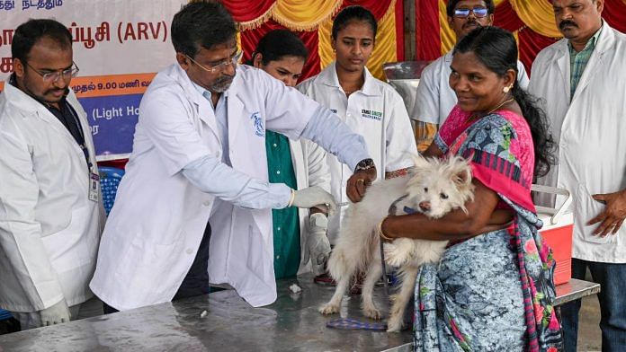 Veterinarians inoculate a street dog with the anti-rabies vaccine in Chennai | Photo: ANI