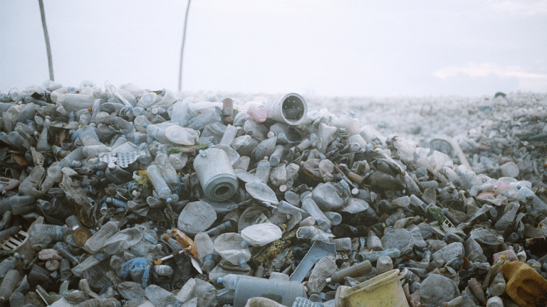Creating a plastic-free tourism sector is a challenge. Here’s why it’s worth it